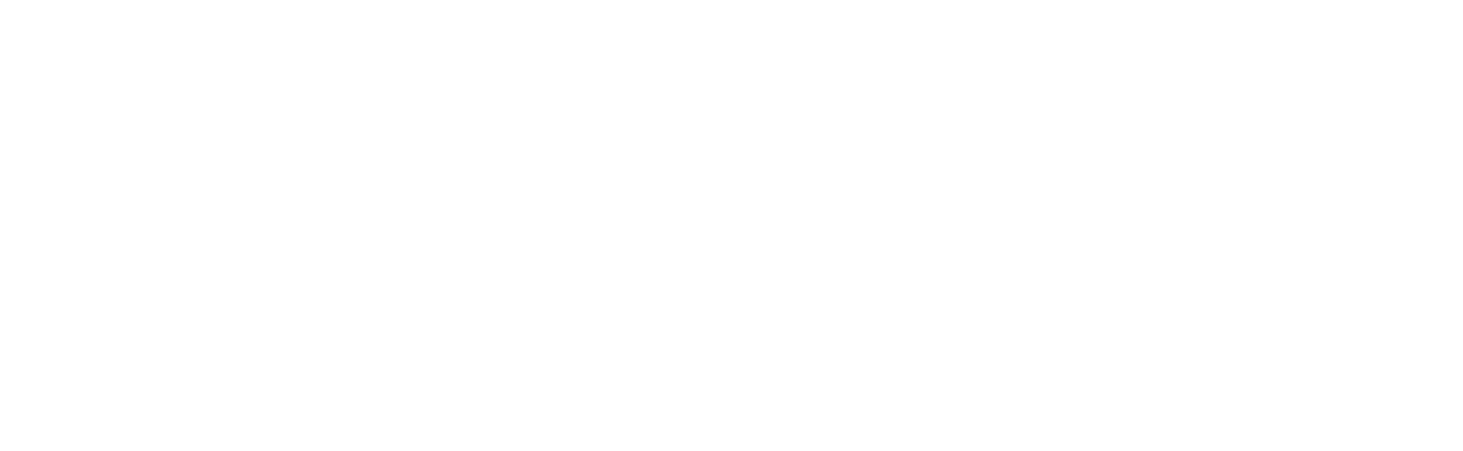 Target Investigation